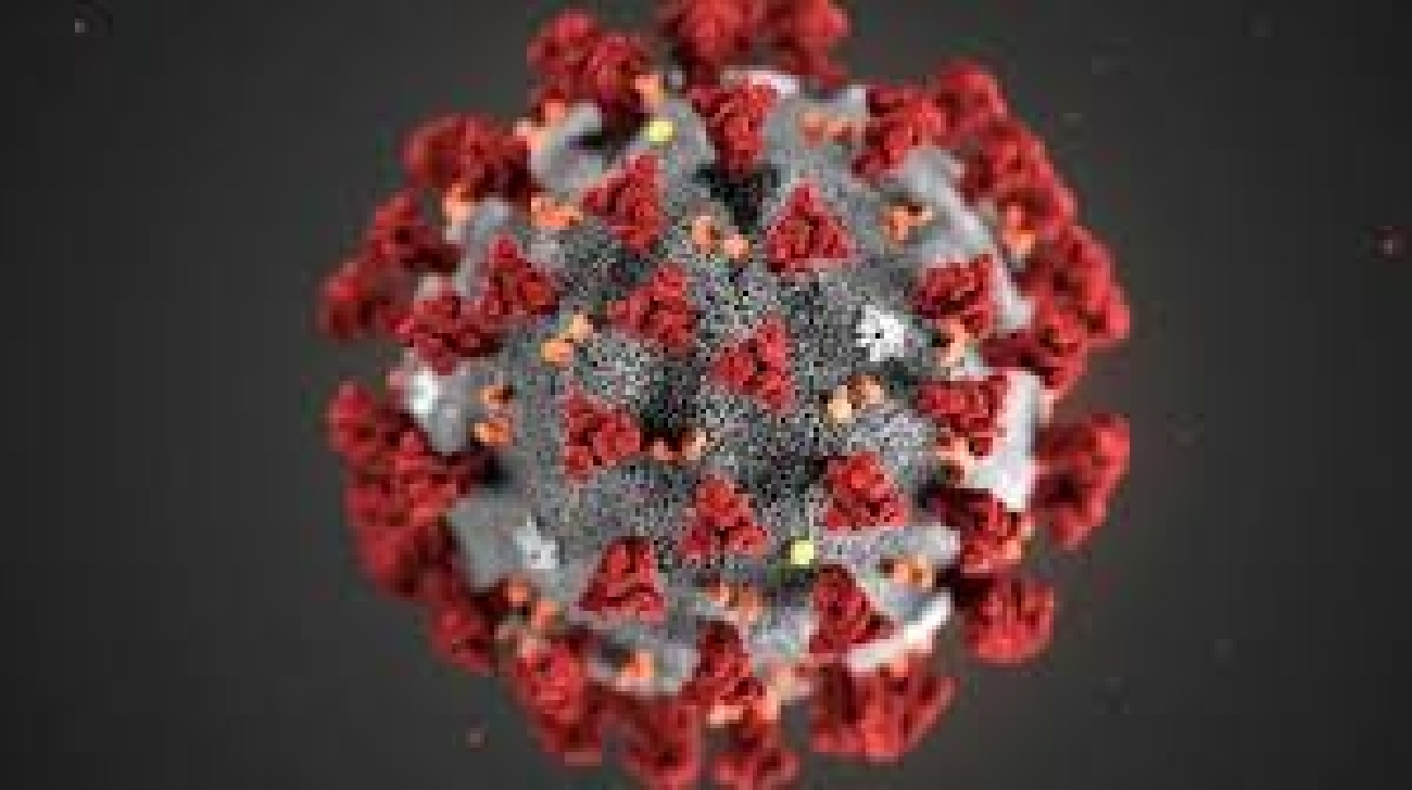 Polmonite da nuovo coronavirus (SARS-CoV-2). Ulteriori informazioni e precauzioni ed indicazioni operative su utilizzo DPI - Polizie Locali.